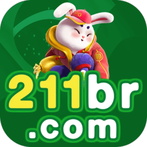 211br.com Logo